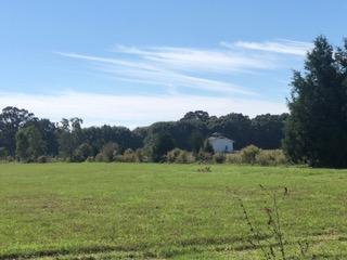 30-ac Griffith Mill Road Holt, FL 32564 - Photo 12 of 23 a view of grassy field with mountain