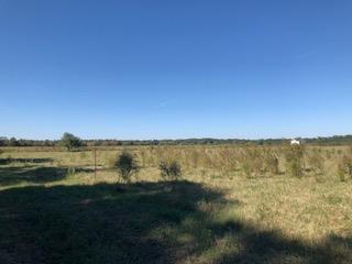 30-ac Griffith Mill Road Holt, FL 32564 - Photo 20 of 23 a view of lake and mountain