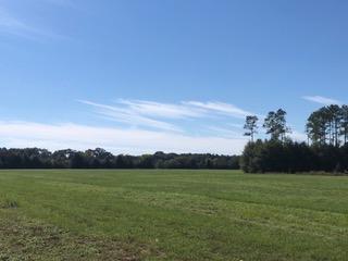 30-ac Griffith Mill Road Holt, FL 32564 - Photo 2 of 23 a view of yard and ocean