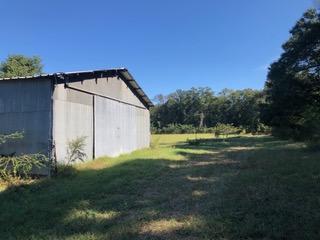 30-ac Griffith Mill Road Holt, FL 32564 - Photo 21 of 23 a view of a house with a big yard