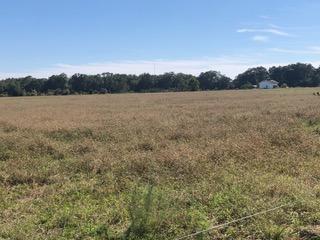 30-ac Griffith Mill Road Holt, FL 32564 - Photo 3 of 23 a view of a lake view