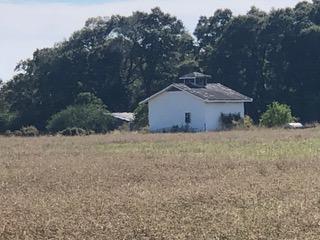 30-ac Griffith Mill Road Holt, FL 32564 - Photo 4 of 23 a view of a house with a yard