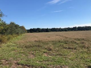 30-ac Griffith Mill Road Holt, FL 32564 - Photo 5 of 23 a view of lake
