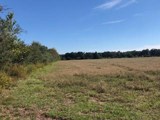 30-ac Griffith Mill Road Holt, FL 32564 - Photo 6 of 23 a view of lake view and mountain view