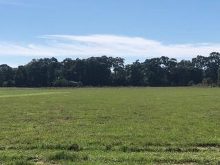 30-ac Griffith Mill Road Holt, FL 32564 - Photo 8 of 23 a view of a field with an ocean