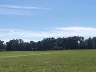 30-ac Griffith Mill Road Holt, FL 32564 - Photo 9 of 23 a view of grassy field with mountain in the background