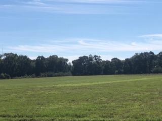 30-ac Griffith Mill Road Holt, FL 32564 - Photo 10 of 23 a view of a field with a city view
