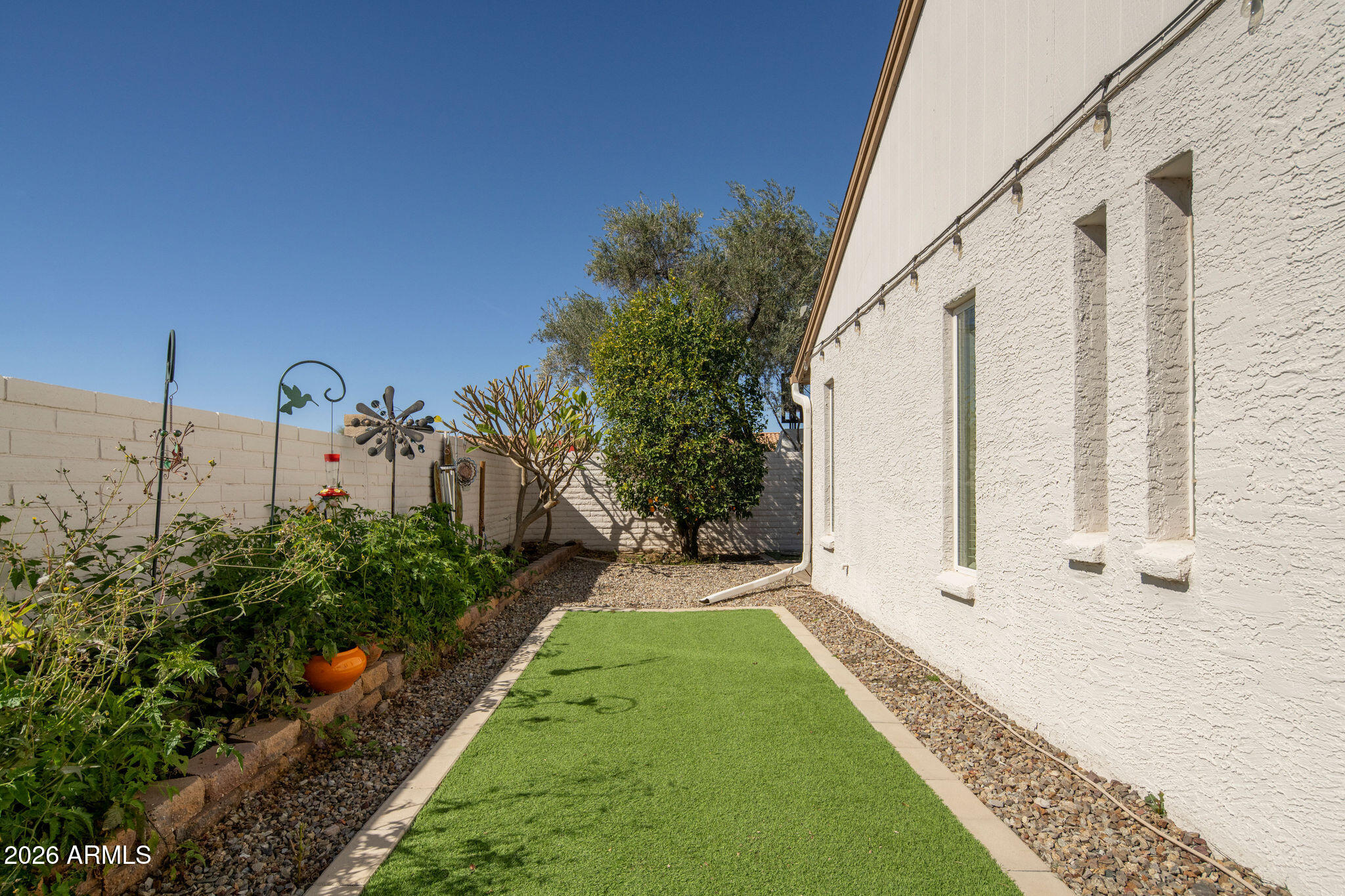 902 East Wagoner Road Phoenix, AZ 85022 - Photo 16 of 17 Backyard