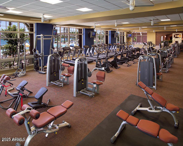 17981 West Agave Road Goodyear, AZ 85338 - Photo 71 of 91 13. Starpointe Fitness Facility