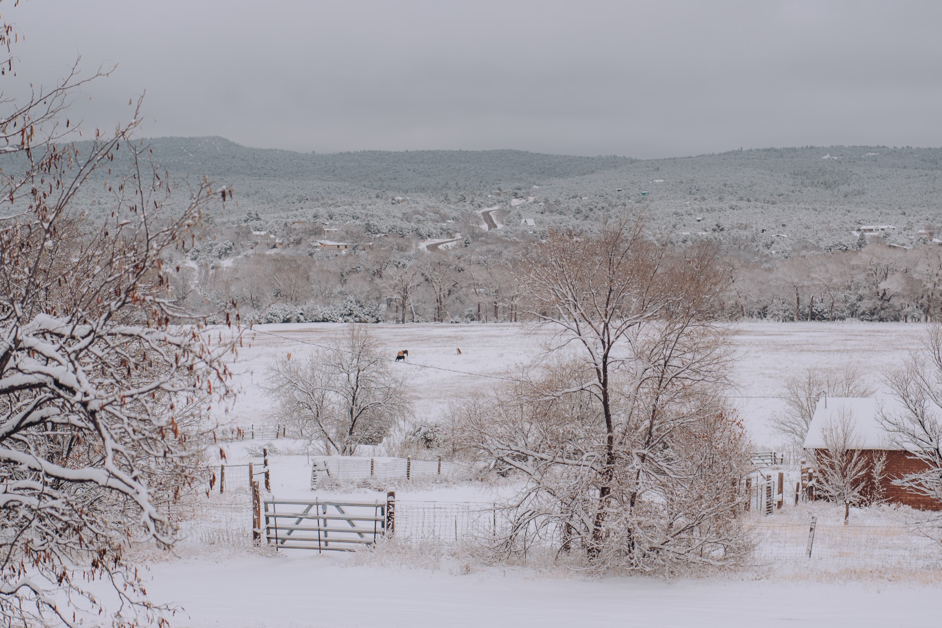 28 South Main Street Pecos, NM 87552 - Photo 42 of 49