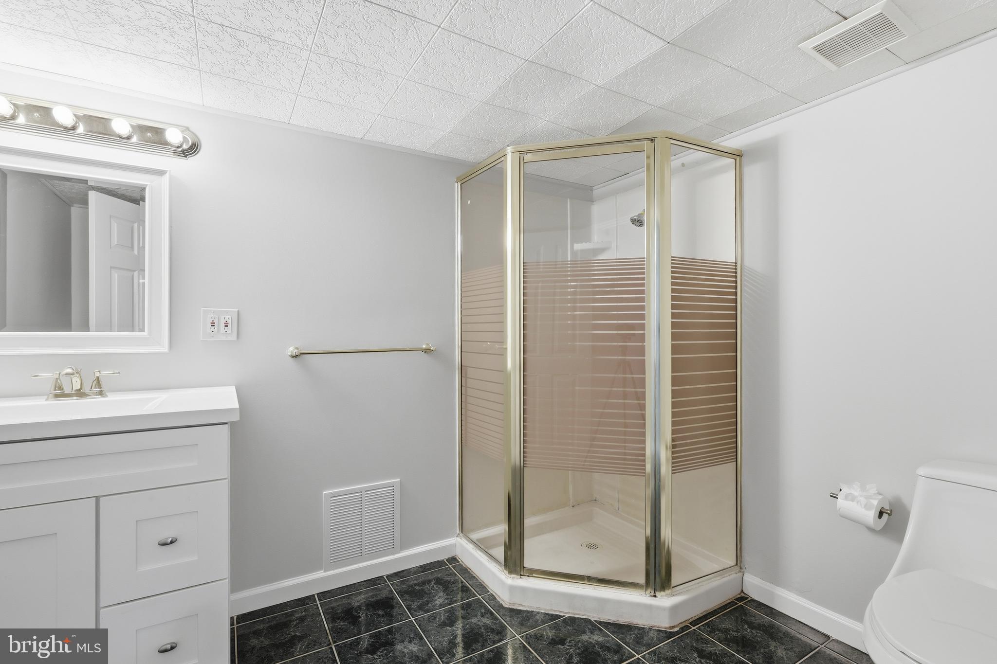 1700 Terrace Road Baltimore, MD 21209 - Photo 24 of 38 Lower 1 - Full bath #3