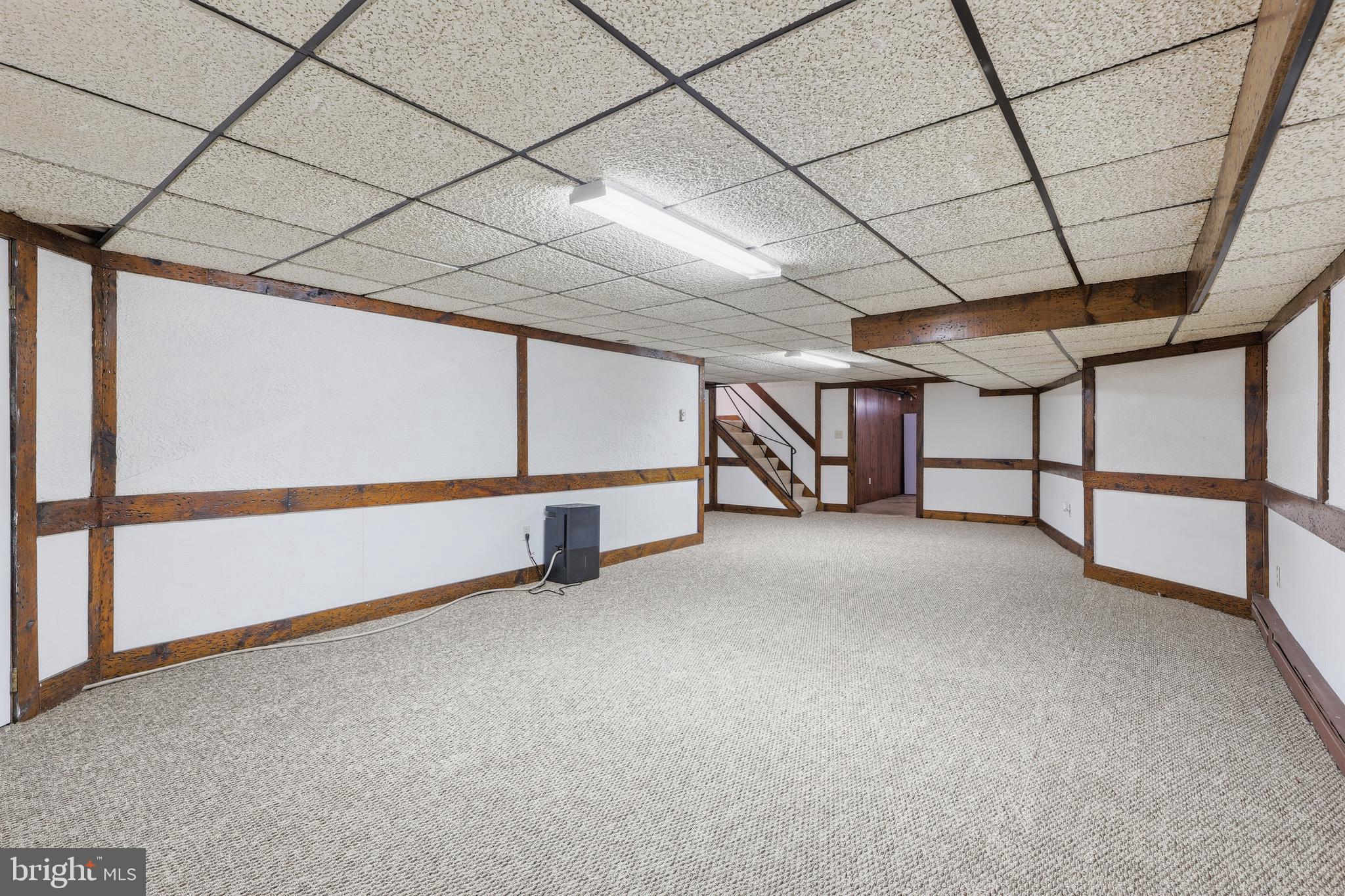 1700 Terrace Road Baltimore, MD 21209 - Photo 27 of 38 Lower 2 - Rec Room