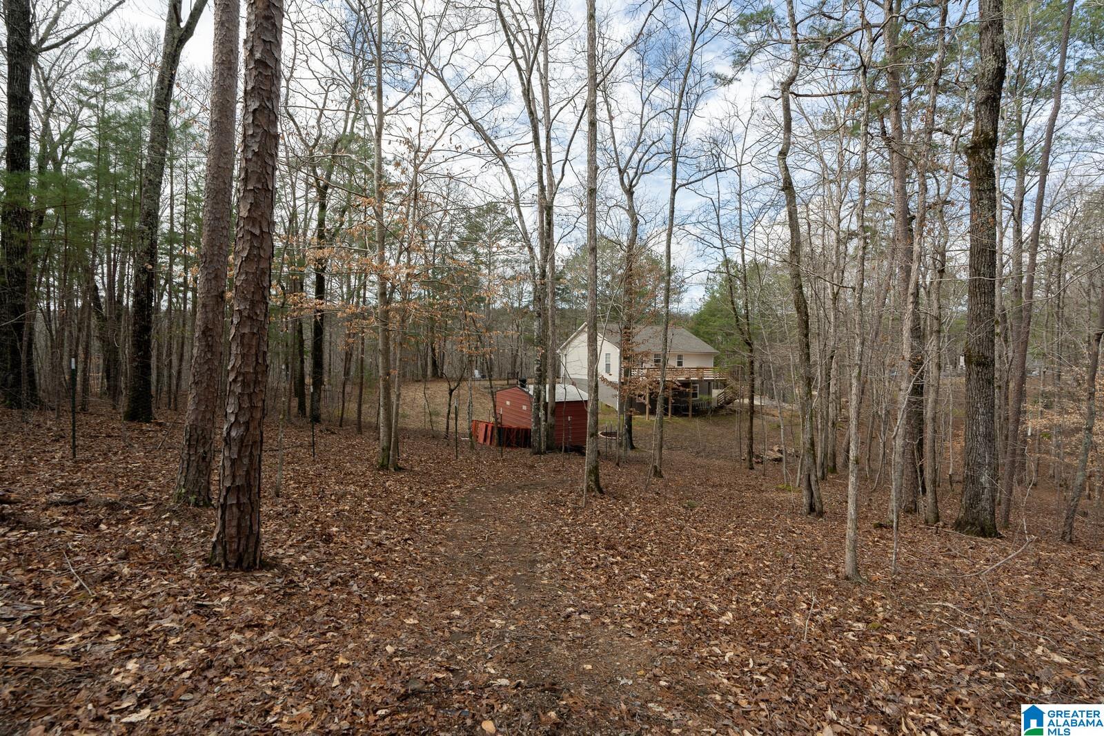 2275 Blackjack Road Trussville, AL 35173 - Photo 7 of 42