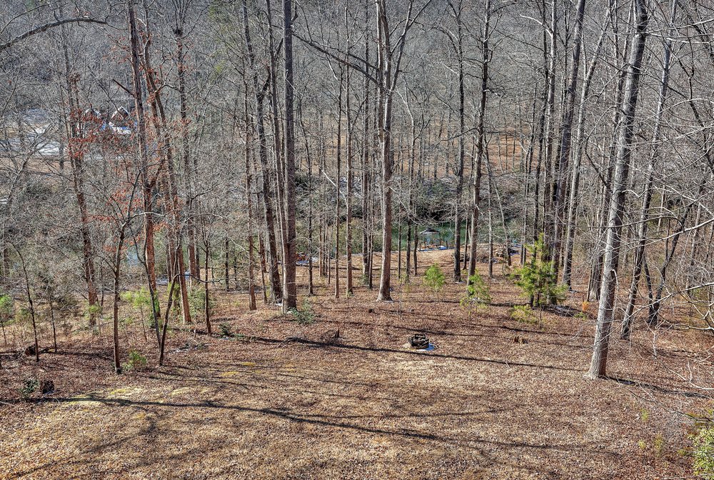 255 Kari Drive Westminster, SC 29693 - Photo 27 of 41