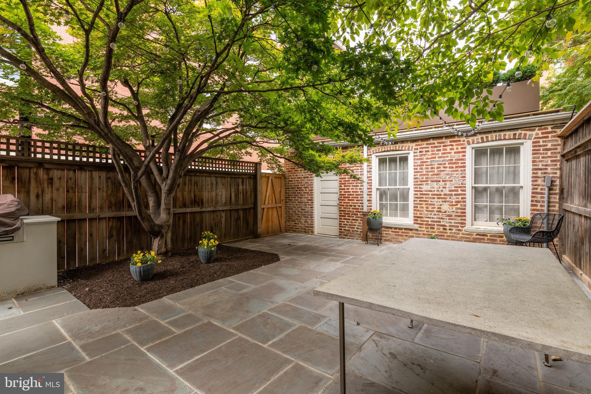 239 8th Street Southeast Washington, DC 20003 - Photo 35 of 39