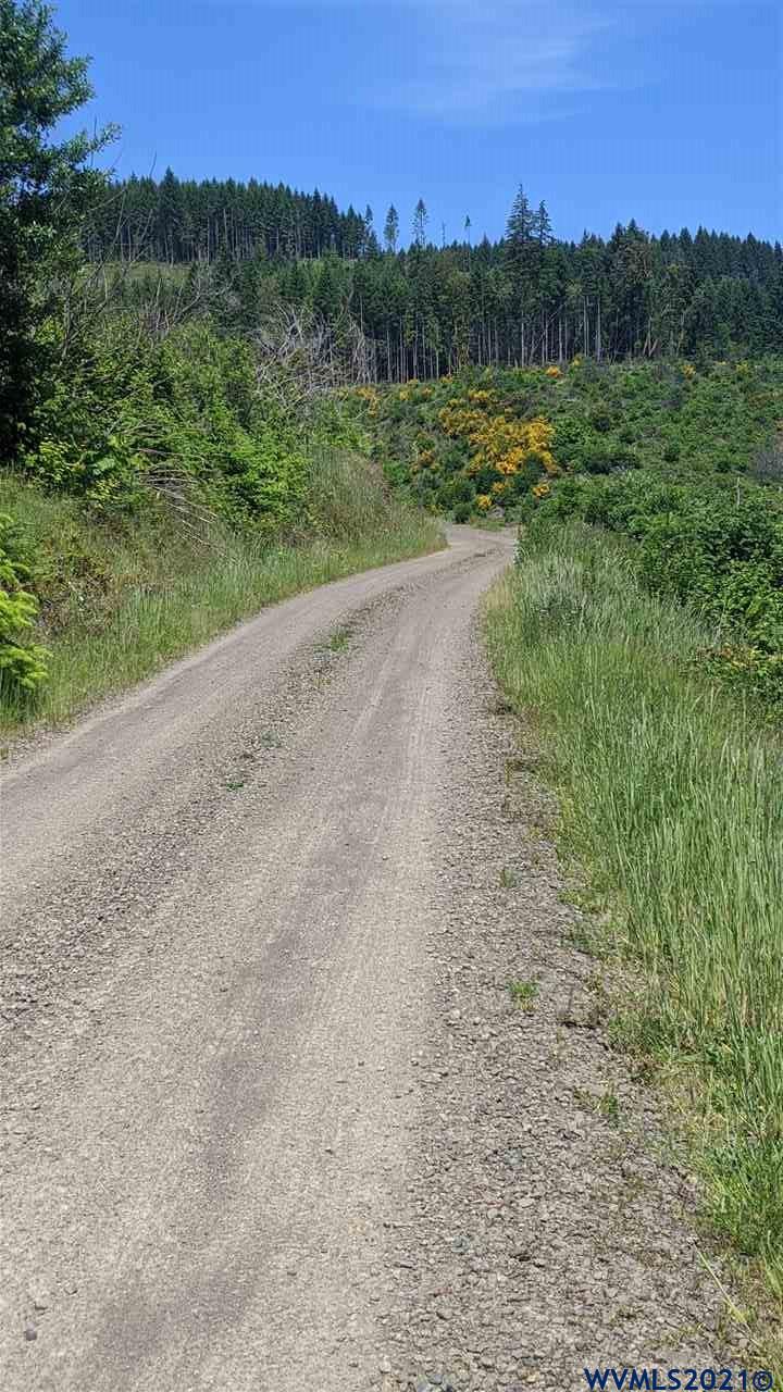 Northwest Timmerman Road Forest Grove, OR 97116 - Photo 9 of 17 Gallery Image 9
