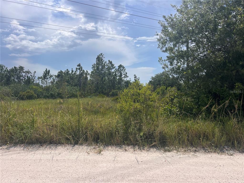 6041 Alfred Boulevard Punta Gorda, FL 33982 - Photo 1 of 1 a view of a lake with a yard