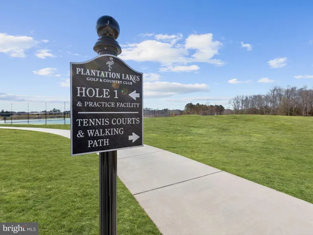 a view of a back yard