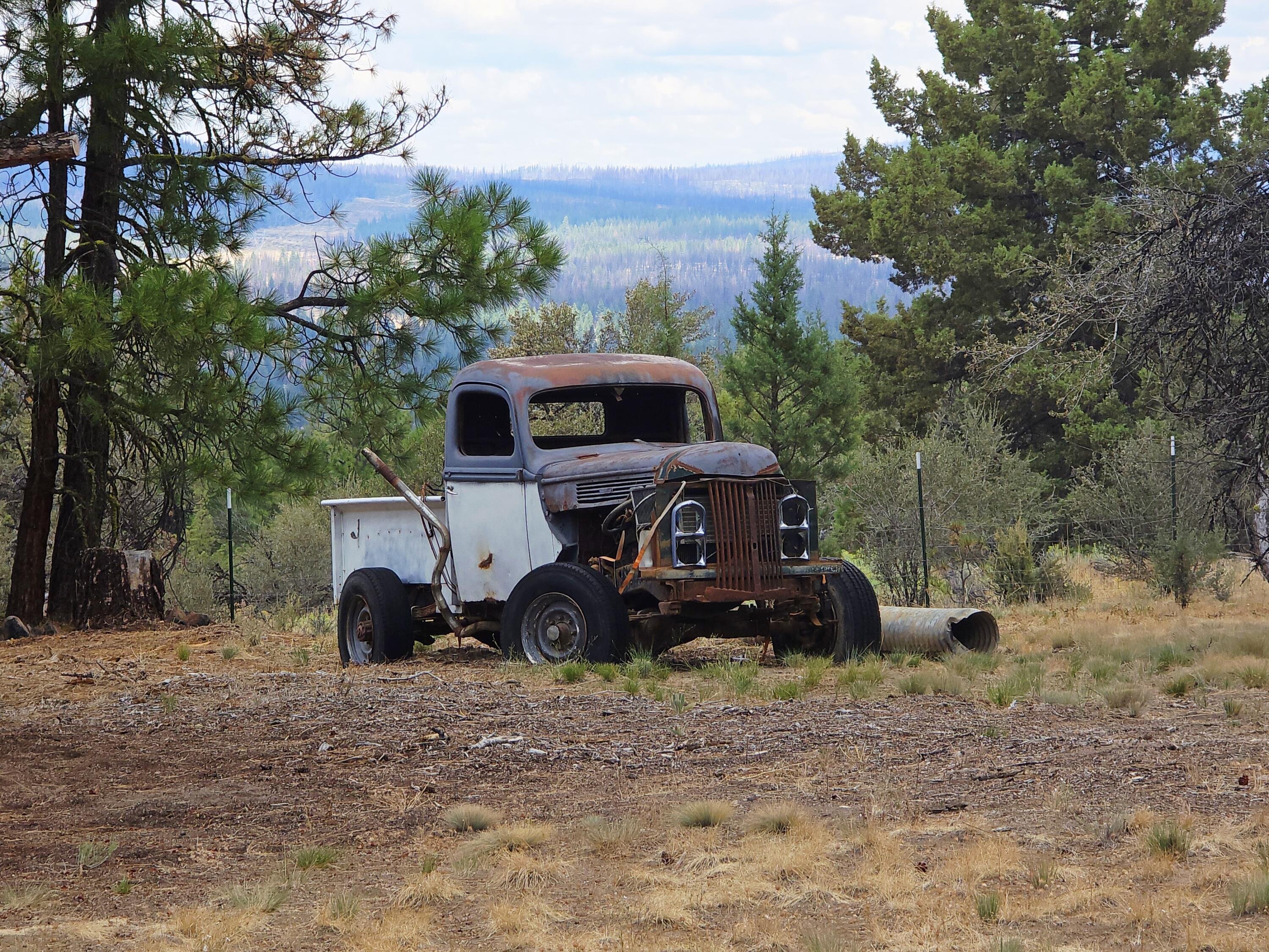 48070 Partin Drive Beatty, OR 97621 - Photo 25 of 29 Yard decor