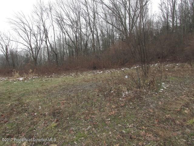 0 Garrett Road Wyalusing, PA 18853 - Photo 3 of 4 32068_2