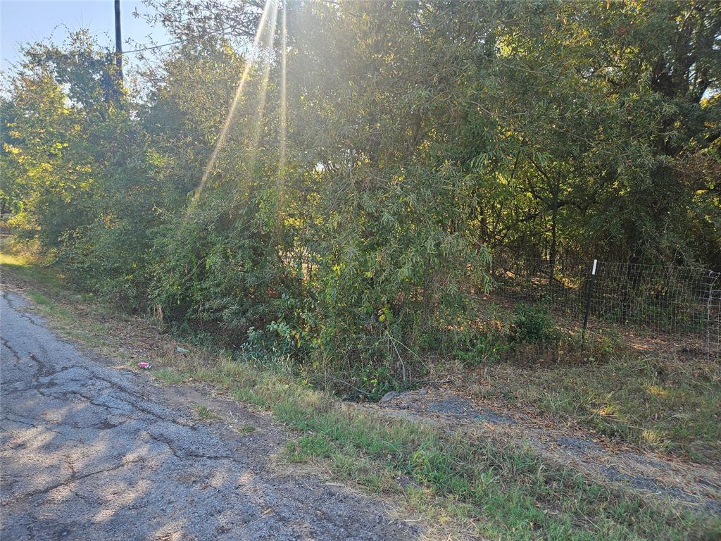 Tbd East Hickory Street Paris, TX 75460 - Photo 2 of 5 a view of a yard
