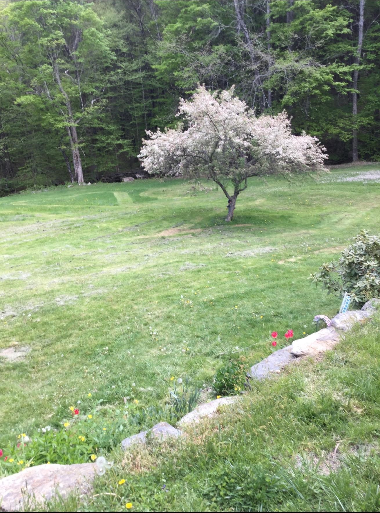 405 Main Street Wardsboro, VT 05355 - Photo 66 of 66