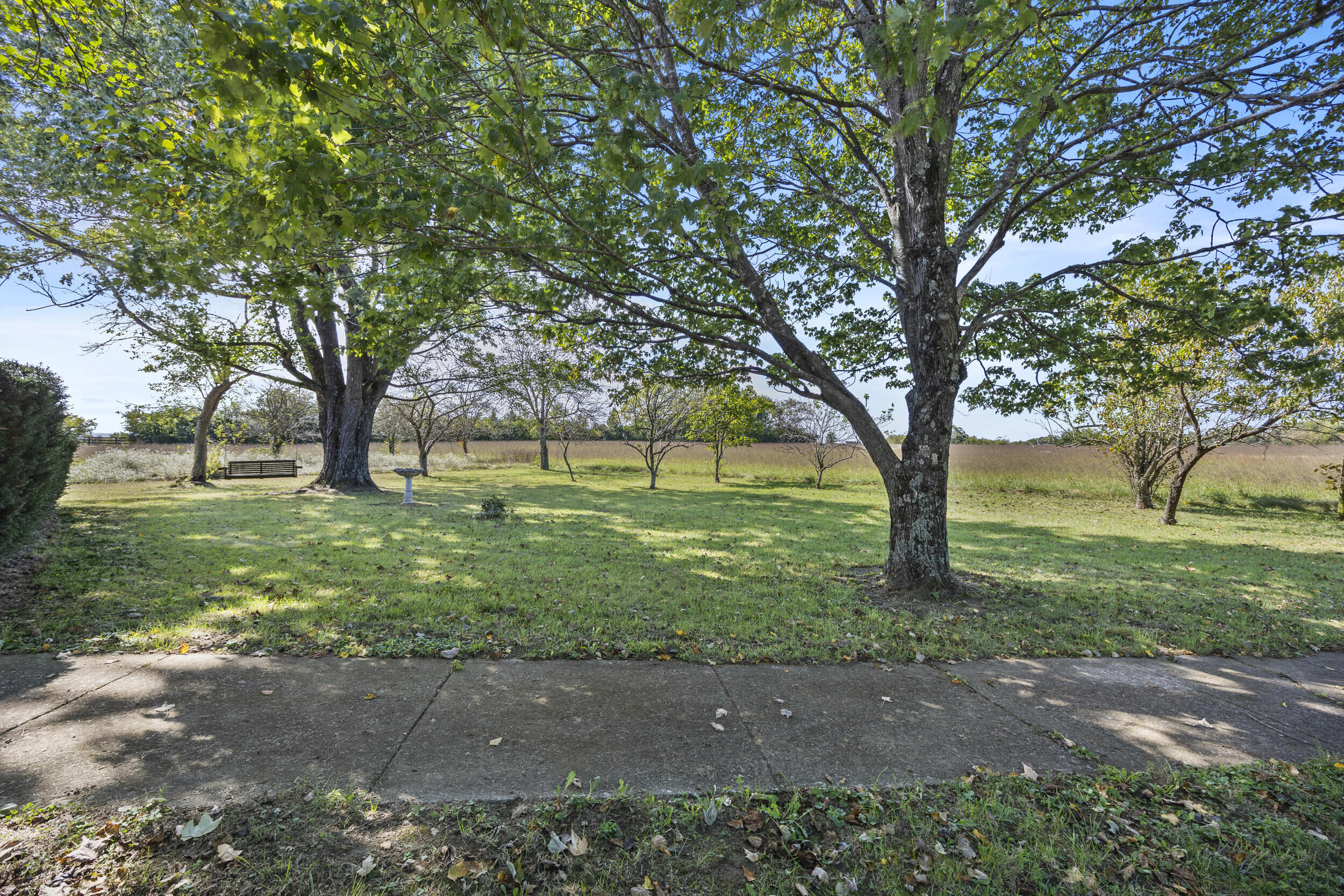 5700 Sulphur Wl Road Lexington, KY 40509 - Photo 73 of 91 78_1e3a2185