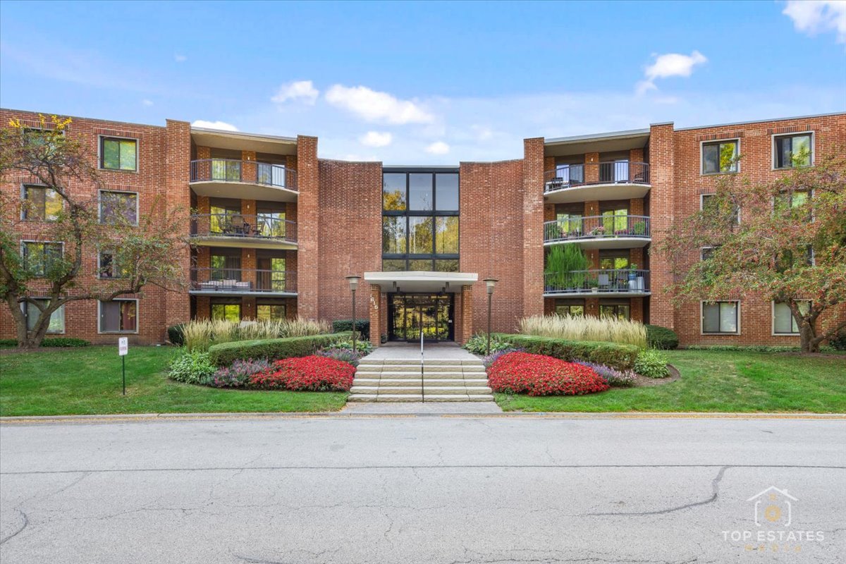 a small garden in the corner of a building