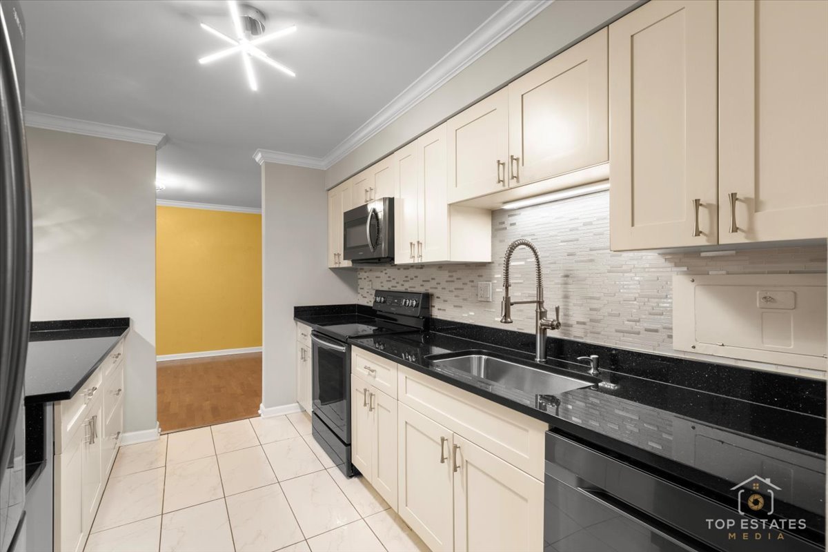1615 East Central Road, Unit 218C Arlington Heights, IL 60005 - Photo 17 of 33 a kitchen with granite countertop a sink a stove and cabinets