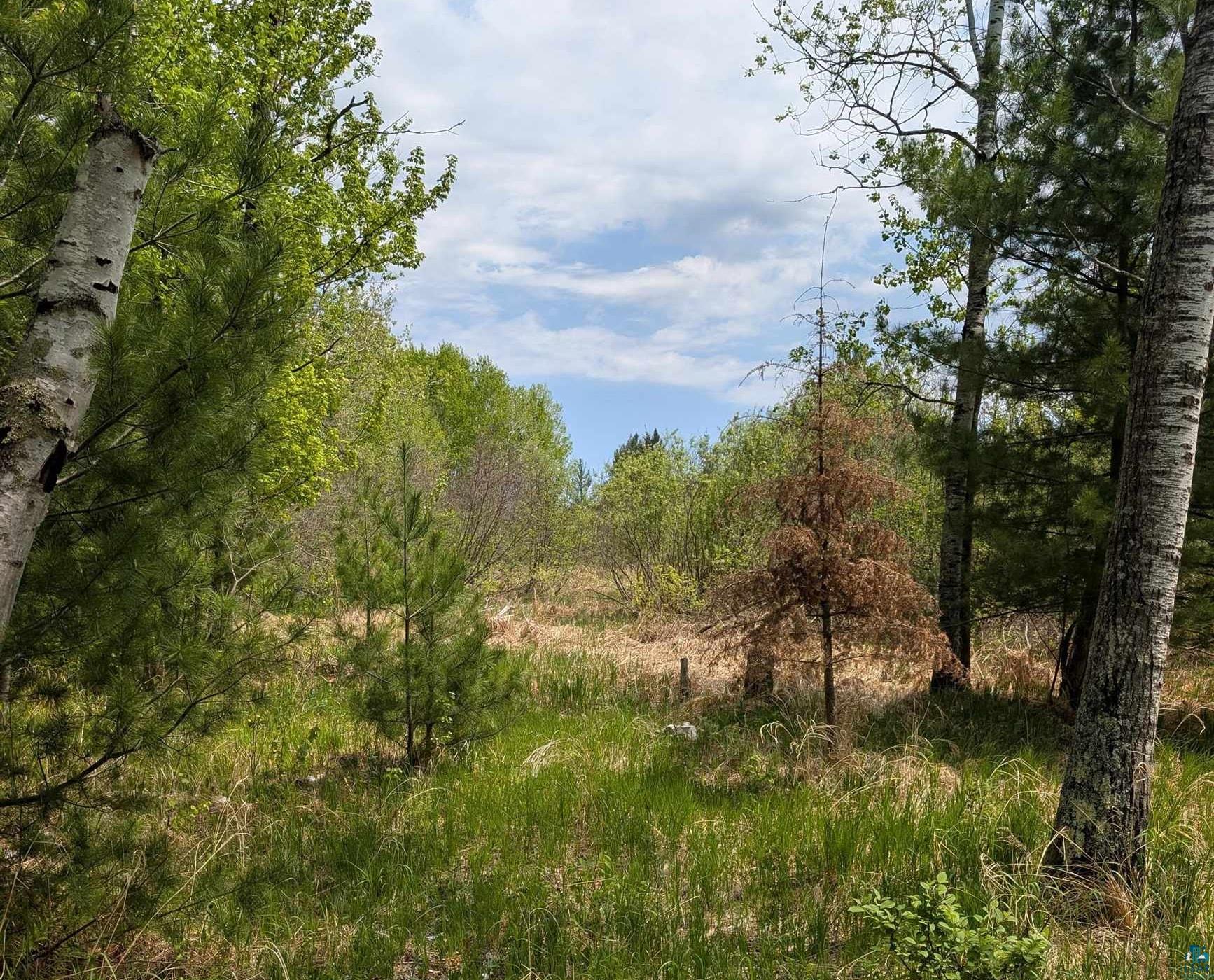 9086 Green Road Hibbing, MN 55746 - Photo 8 of 31