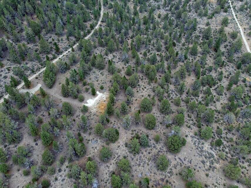 0 Kootenai Street Chiloquin, OR 97624 - Photo 11 of 12 a view of a forest with trees all around