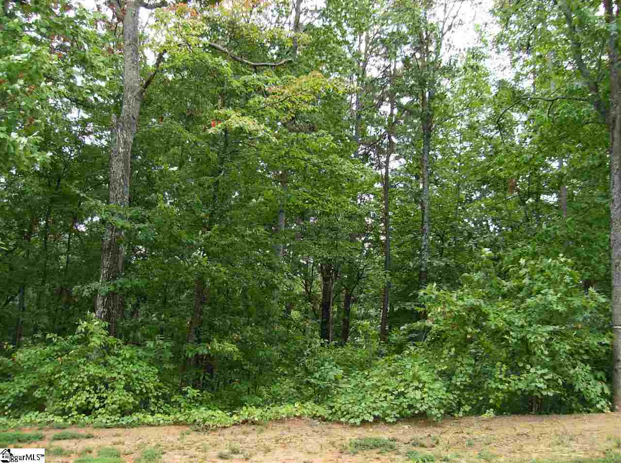 4 Davis Creek Road Seneca, SC 29678 - Photo 1 of 1 Gallery Image 1