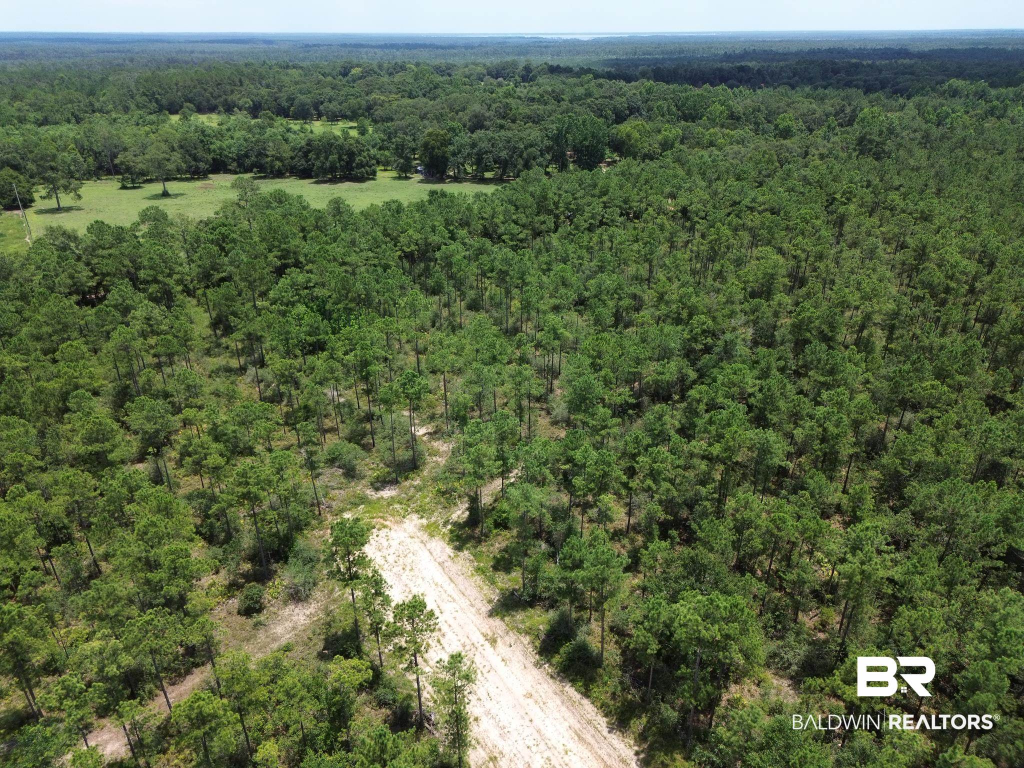 0 Kings Landing Road Seminole, AL 36574 - Photo 3 of 7