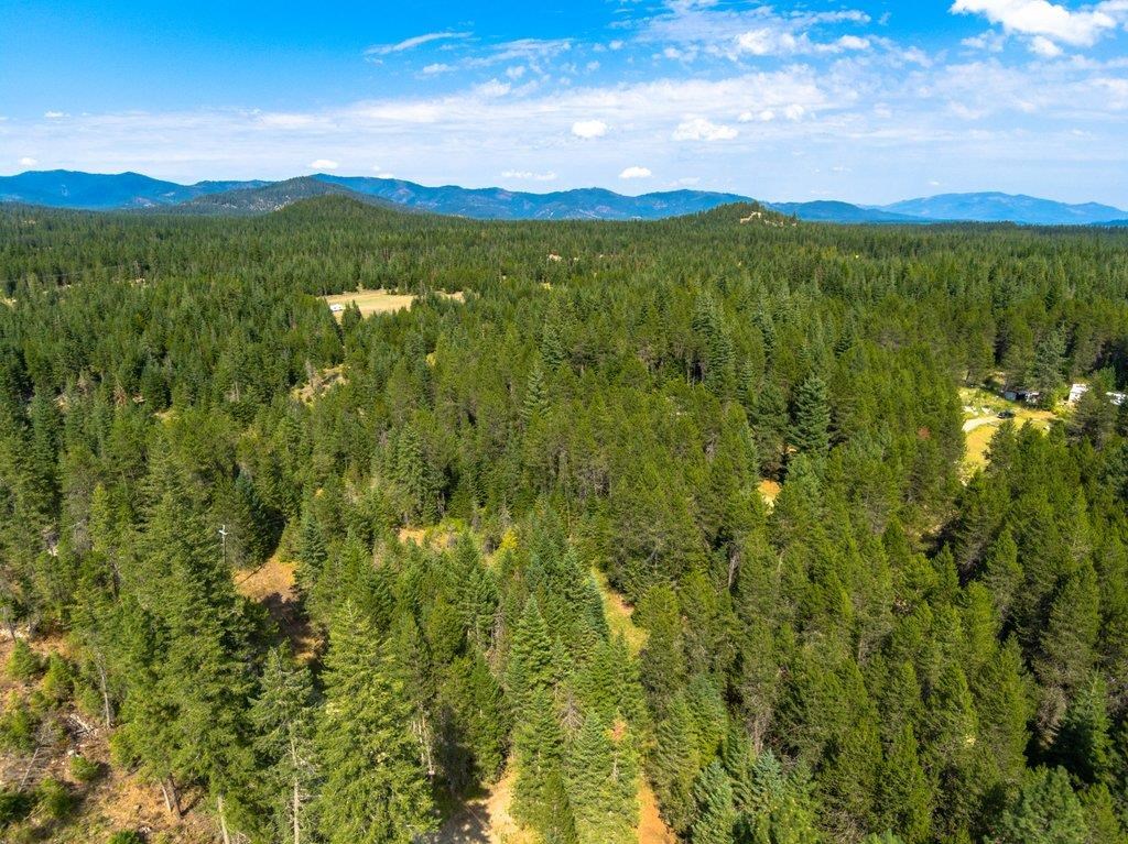 2194 Gray Road Newport, WA 99156 - Photo 1 of 5 Gallery Image 1