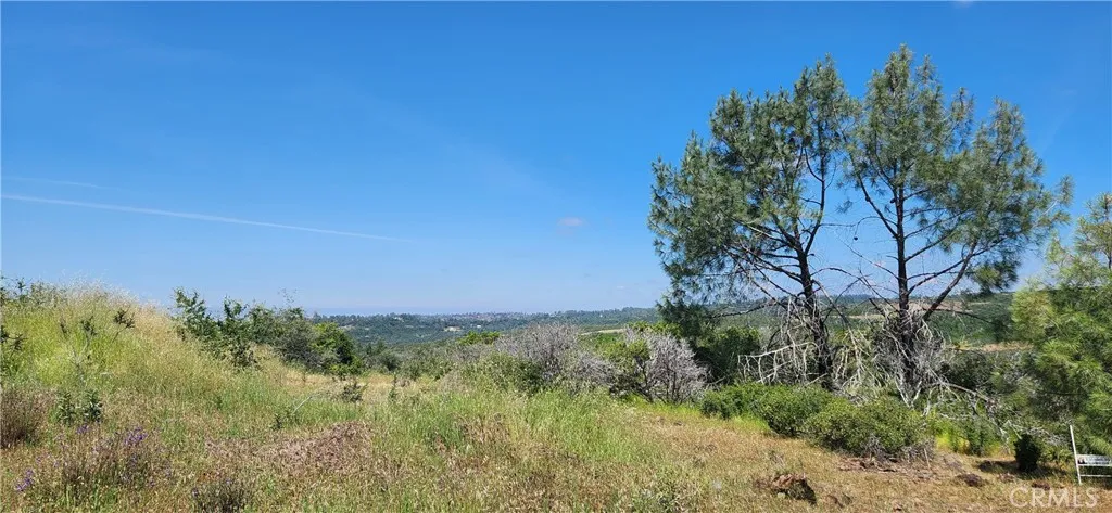 0 Hummer Forest Ranch Magalia, CA 95954 - Photo 20 of 28 a view of a lush green space