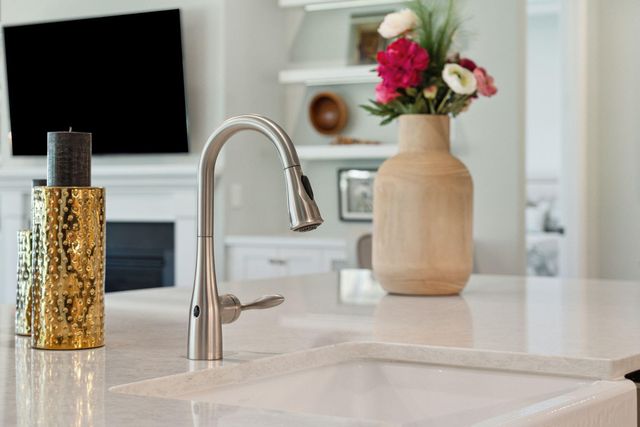 $780,000 | 393 Tupelo Lake Drive, Summerville, SC 29486