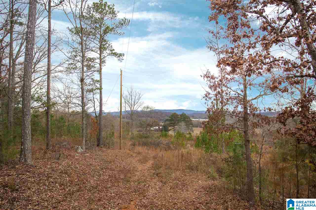 511 Tally Ho Road Anniston, AL 36207 - Photo 4 of 11