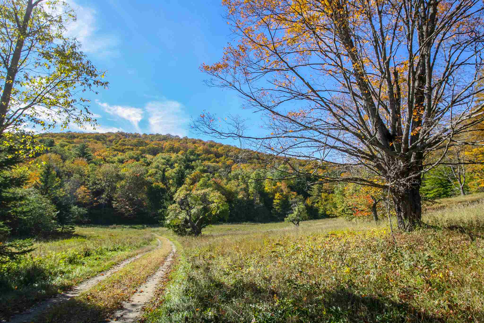1809 Beaver Meadow Road Vershire, VT 05083 - Photo 21 of 40