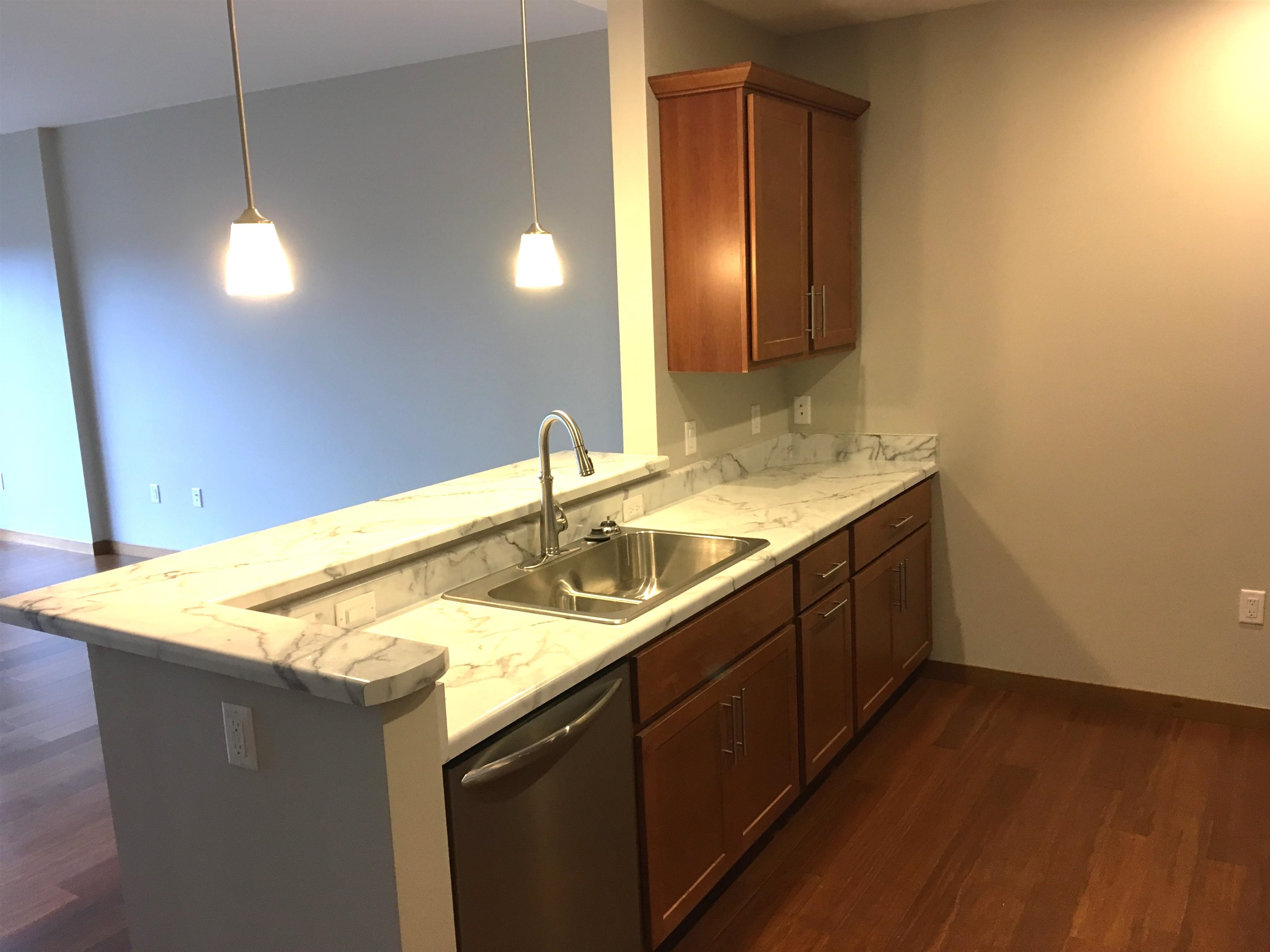 625 North Segoe Road, Unit 404 Madison, WI 53705 - Photo 5 of 24