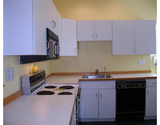 19 Grovenor Road, Unit 3 Boston, MA 02130 - Photo 20 of 26 Gallery Image 20