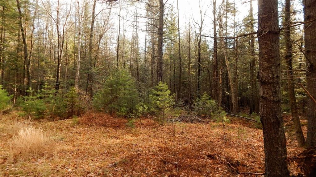 0 Dawes Road Dover-Foxcroft, ME 04426 - Photo 26 of 35 Photo