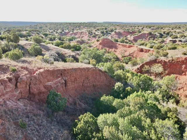 an aerial view of house with yard and mountain view in back