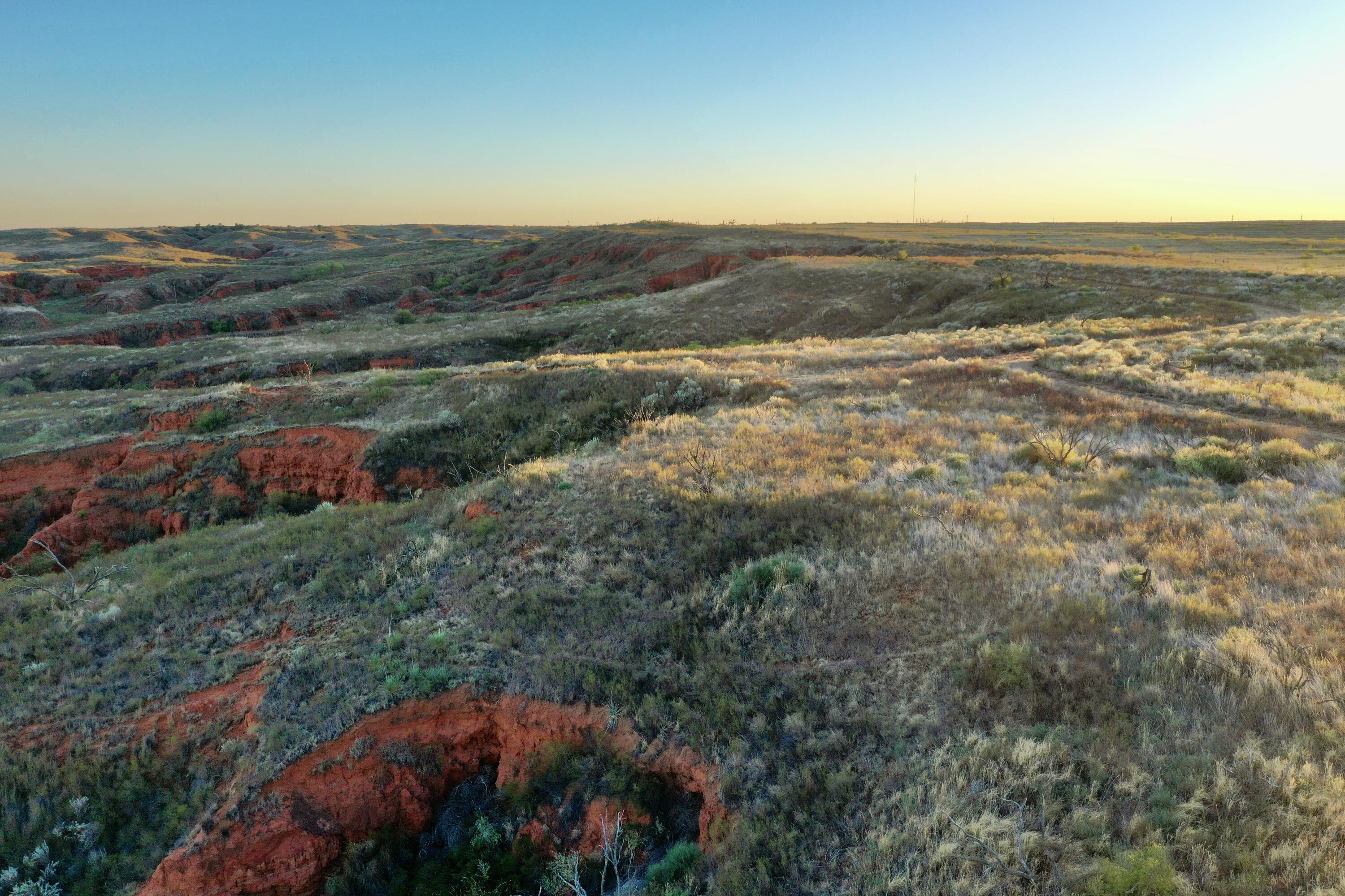 1041 Fm Memphis, TX 79245 - Photo 17 of 72 an aerial view of residential houses with outdoor space and trees