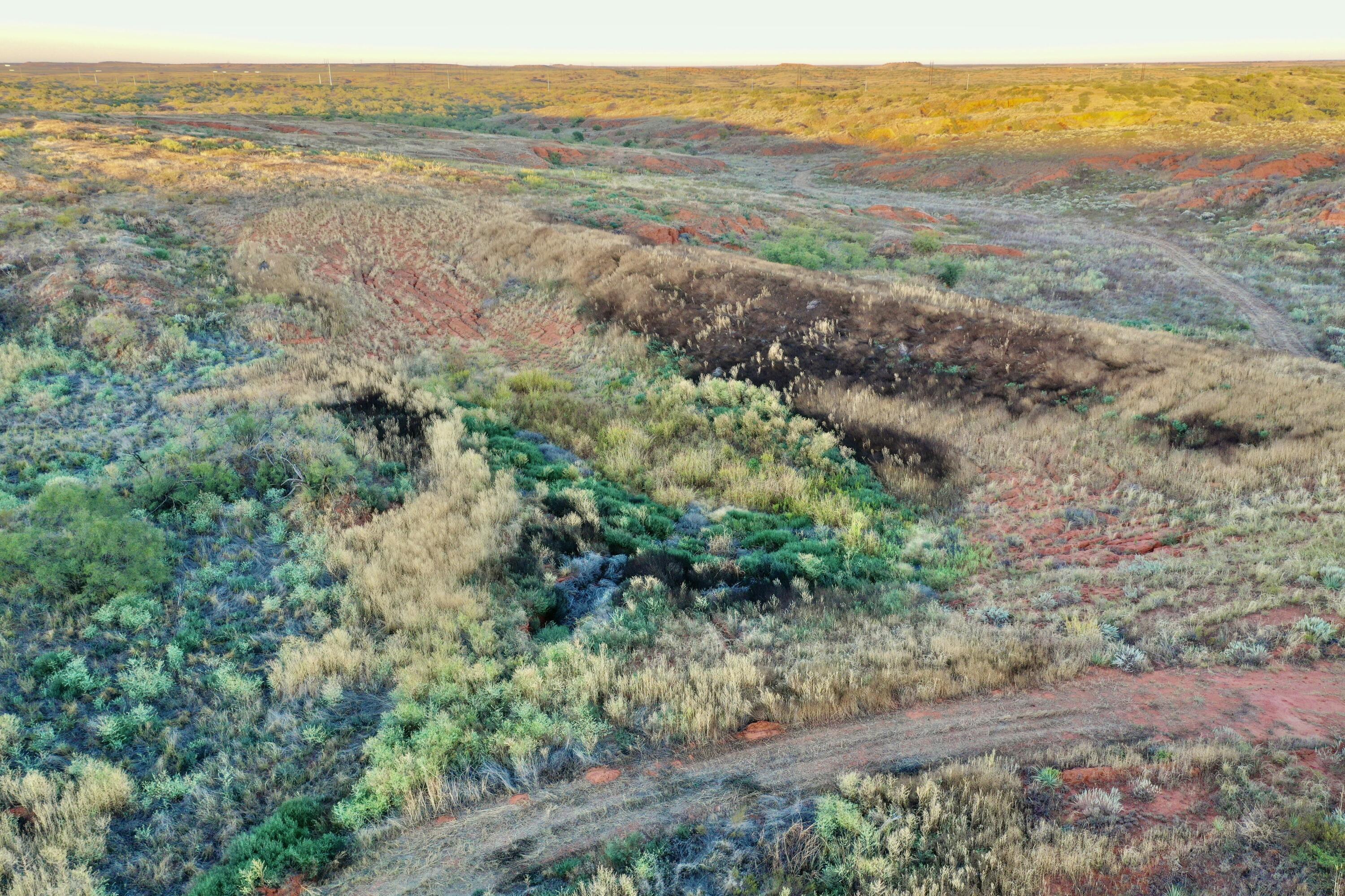 1041 Fm Memphis, TX 79245 - Photo 18 of 72 an aerial view of forest