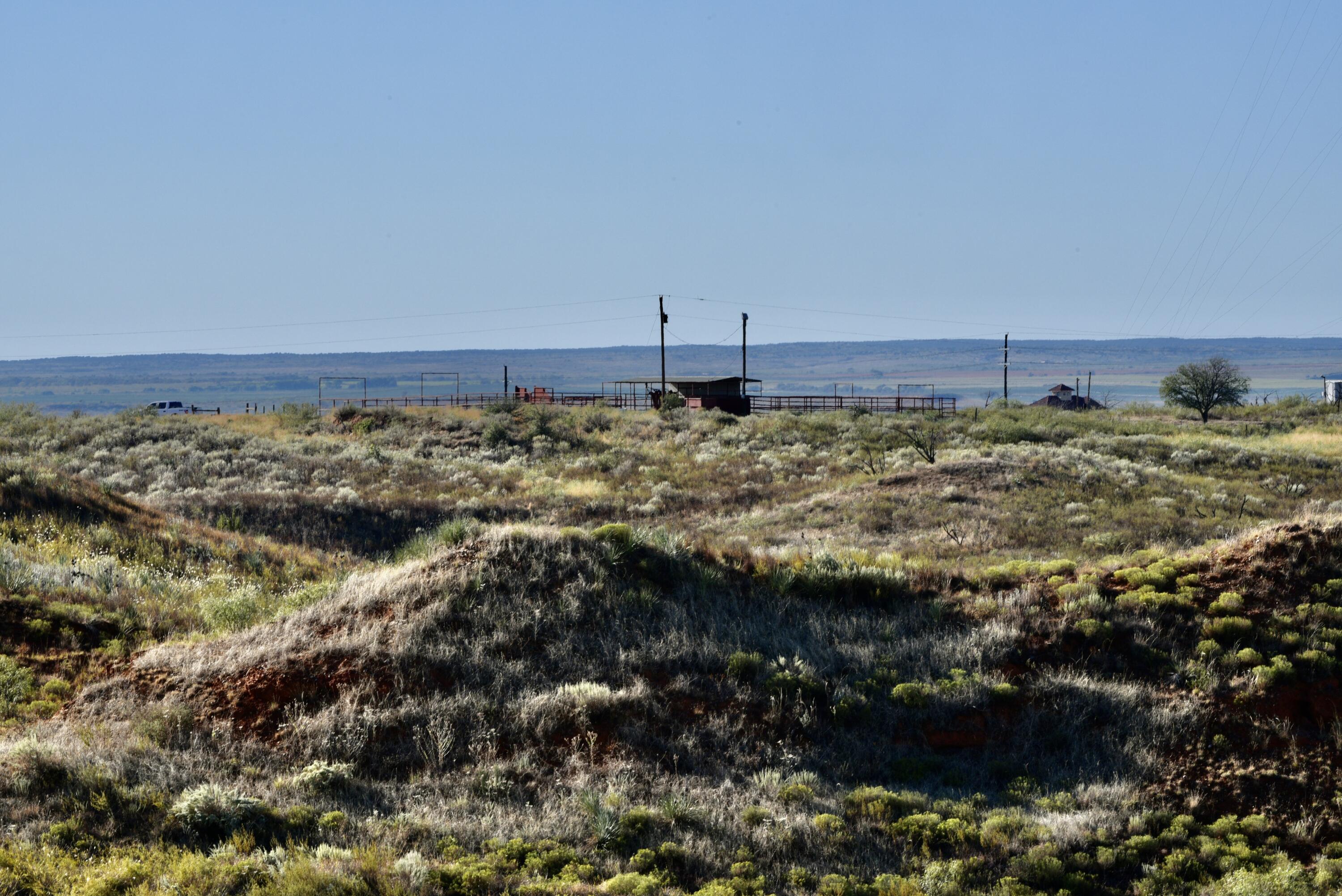 1041 Fm Memphis, TX 79245 - Photo 27 of 72 a view of a bunch of trees and lake