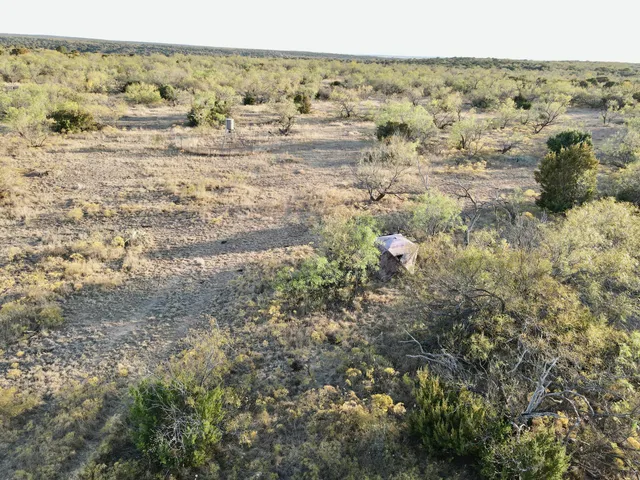 a view of a plant in a field