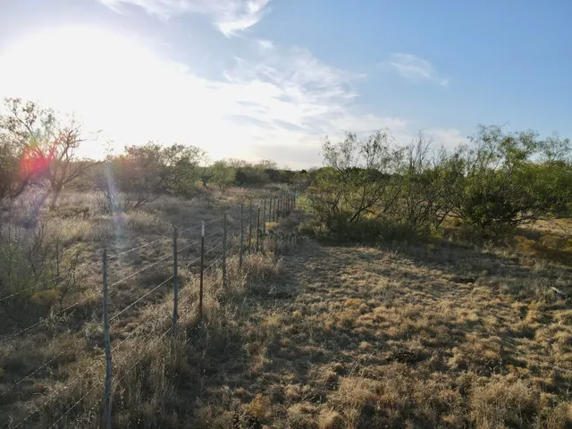 a view of a field with a tree in the background