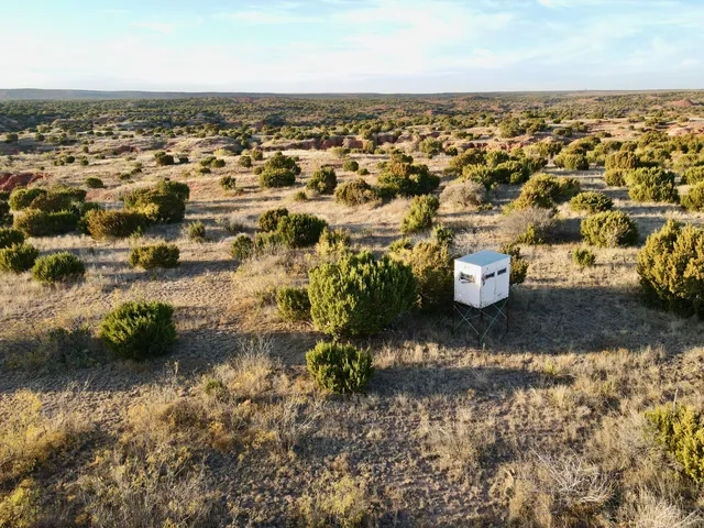 a view of a dry yard