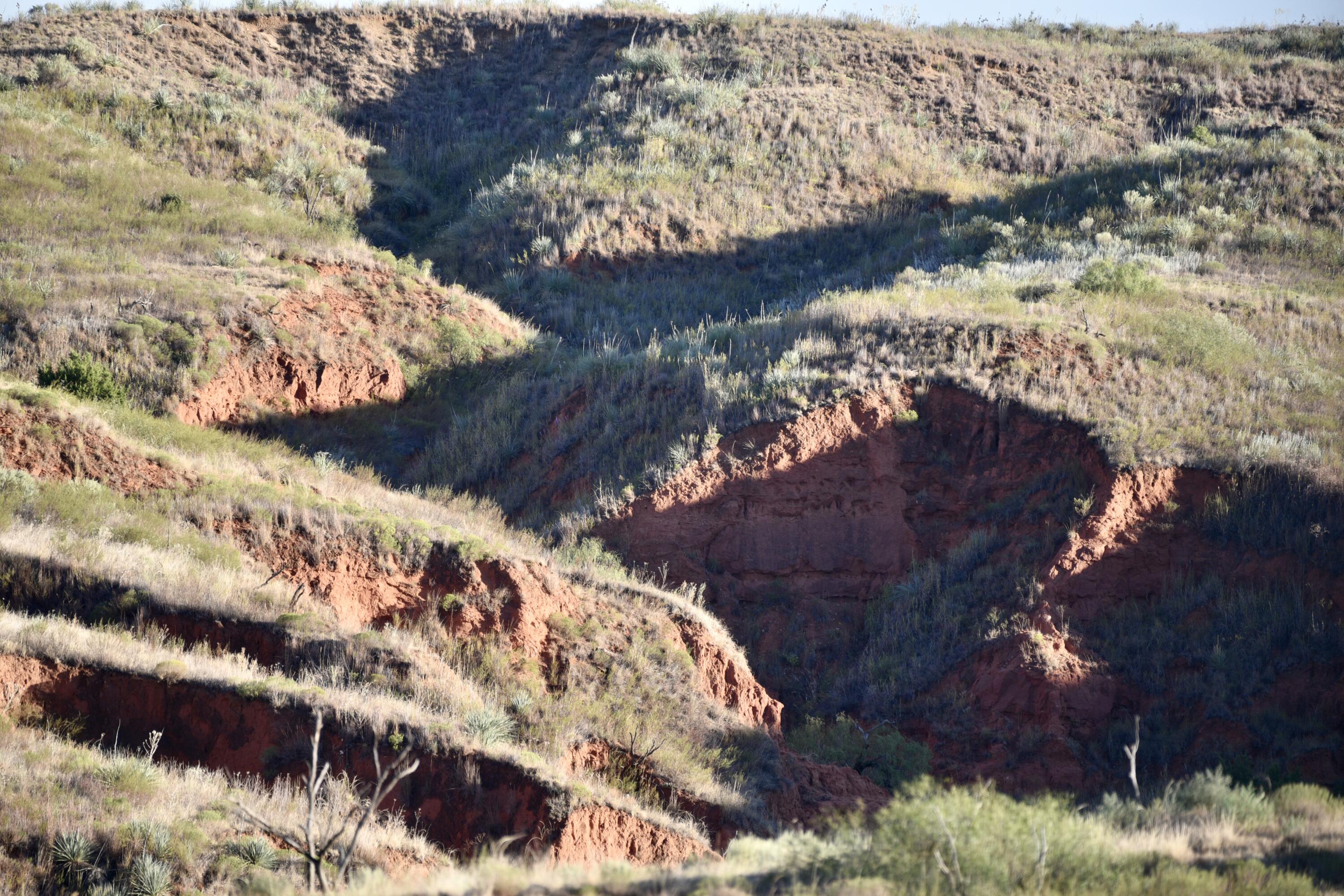 1041 Fm Memphis, TX 79245 - Photo 35 of 72 a view of a tree with a yard