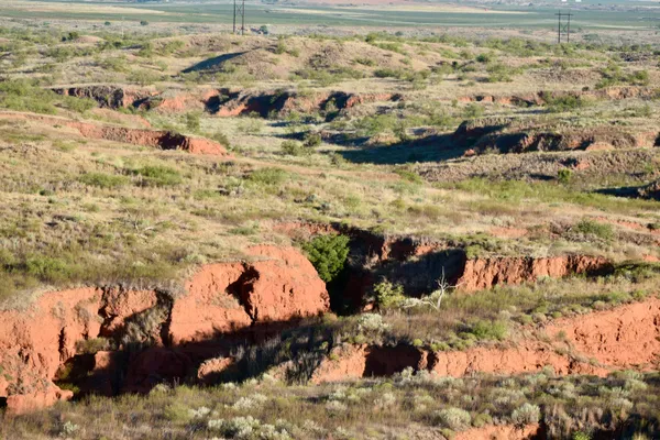 a view of a dry field with trees in the background